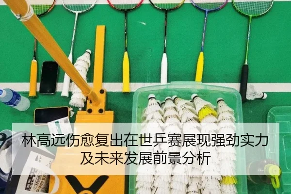 林高远伤愈复出在世乒赛展现强劲实力及未来发展前景分析